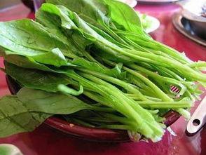 菠菜最新爆料新闻,揭秘娱乐圈惊人内幕